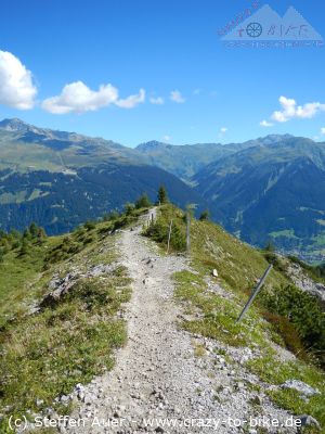 Trailbiken Davos